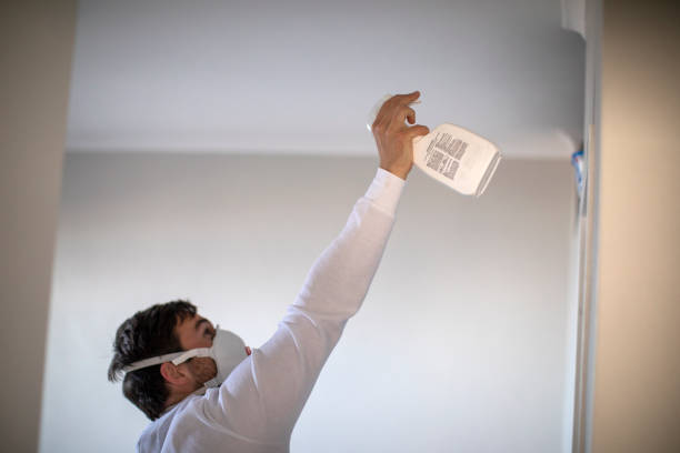 Best Crawl Space Mold Removal  in Westport Village, CT