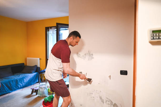 Mold Removal Process in Westport Village, CT